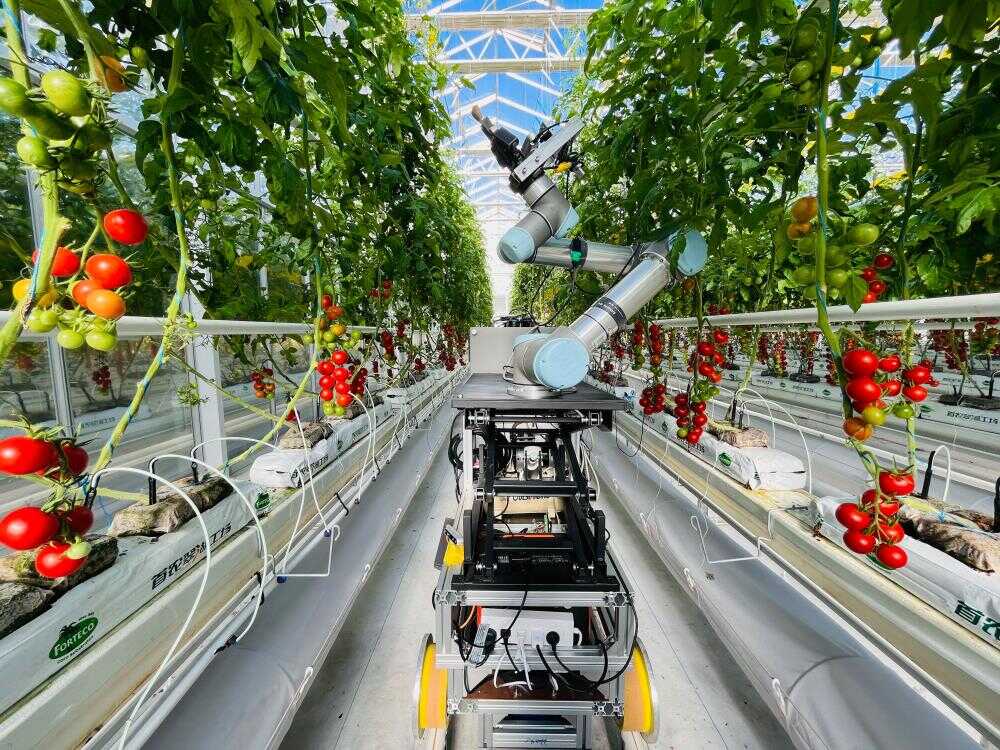 China's Smart Breeding Industry Blossoming in Glow of AI-driven Tech