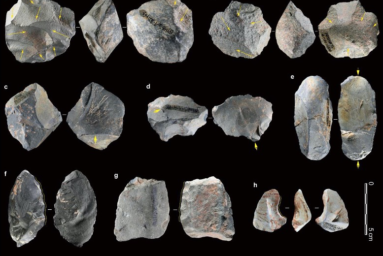 Ancient Proteins Reveal Denisovans' Survival Landscape in South China for the First Time