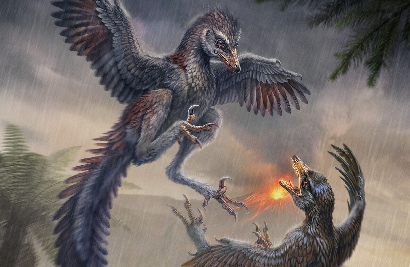 Not All Early Birds Evolved Toward Better Flight, Jurassic Fossil Suggests